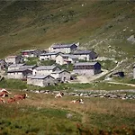 Gassenhof *