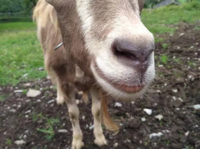Apartmán Gassenhof Matrei in Osttirol