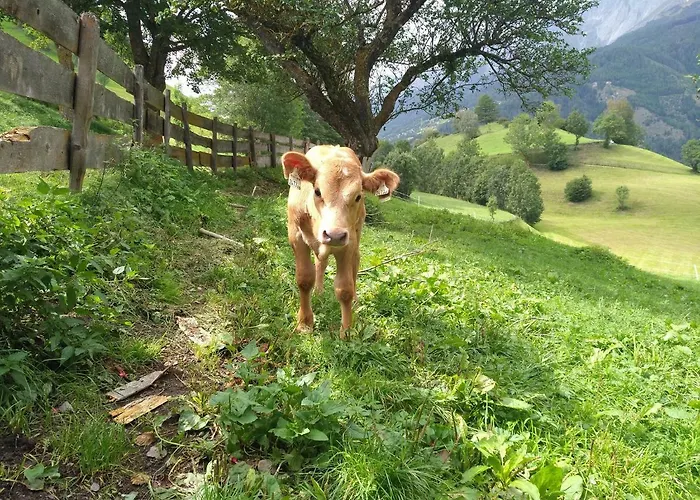 Apartmán Gassenhof *