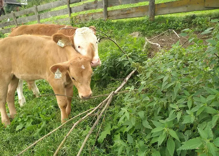 Gassenhof Apartmán Matrei in Osttirol